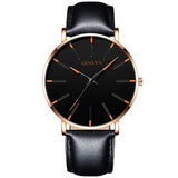 Mens Luxury Watch